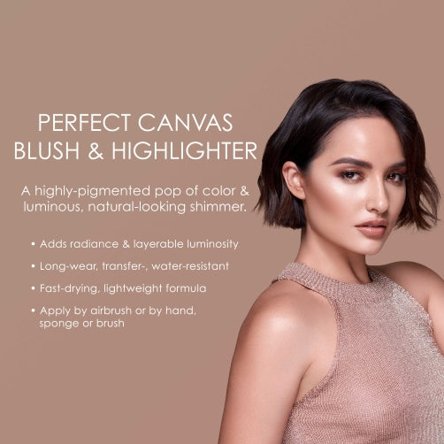 Perfect Canvas Blush & Highlighter Starter Set