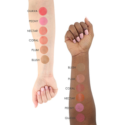 S/B Blush Starter Set